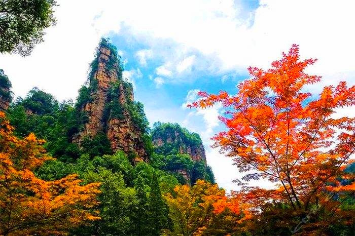 热烈祝贺中国湖南地区纺织品、建材家具、美容保健品、日用百货、汽车、房产家居商品网上网下客户引流交易会隆重开起！cotv全球直播、中网市场、大号会展为您专题发布！