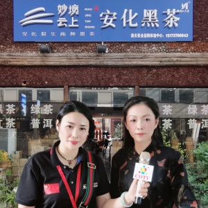 热烈祝贺中国湖南地区纺织品、建材家具、美容保健品、日用百货、汽车、房产家居商品网上网下客户引流交易会隆重开起！cotv全球直播、中网市场、大号会展为您专题发布！